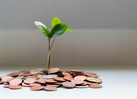 Esg report for a sustainable future, plant on money.
