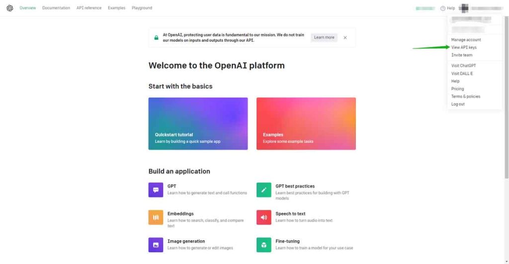 Location of OpenAI's API key