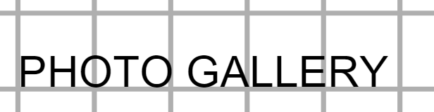 English term: Photo Gallery