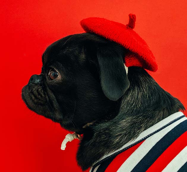 French game localization